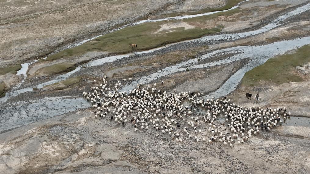 轉(zhuǎn)場(chǎng)柴達(dá)木