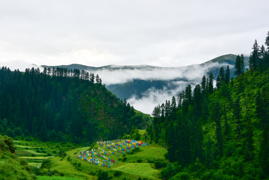 “雪山大地·影像季”參賽作品展（十八）