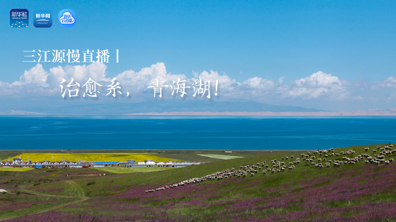 三江源慢直播丨治愈系，青海湖！