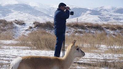 “1個”和“66個”：青海湖畔特別的“團(tuán)圓”