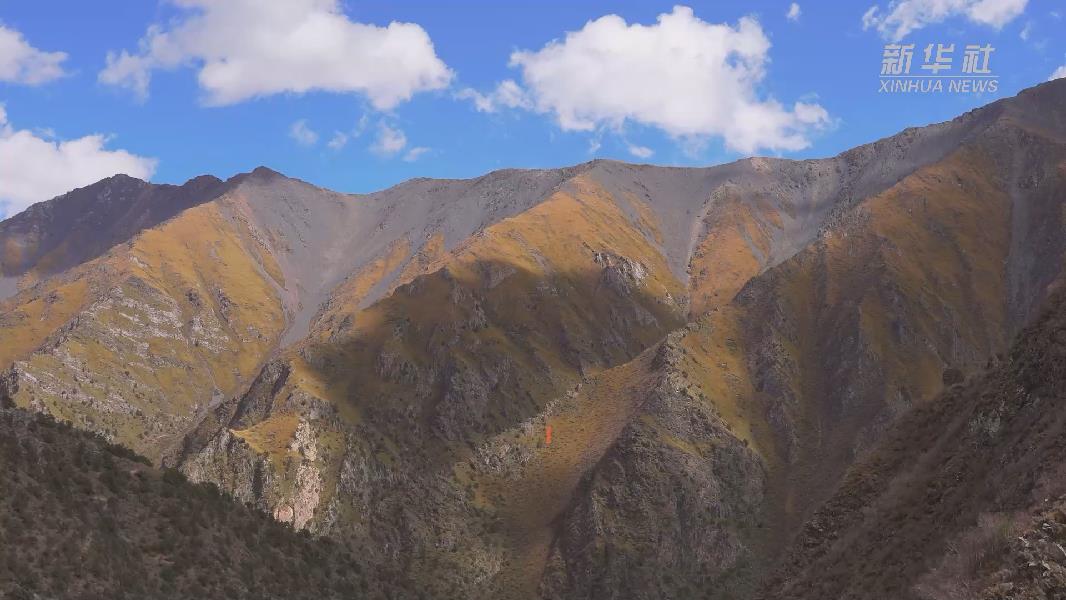 4362張照片！他們?cè)谶@里堅(jiān)持10年開(kāi)展雪豹種群動(dòng)態(tài)研究