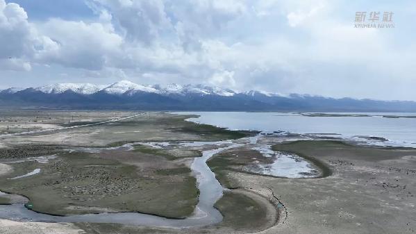 “飛閱”夏日青海湖